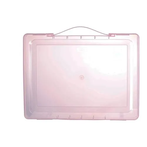 Deli Document Box File with Handle A4 50mm E5702