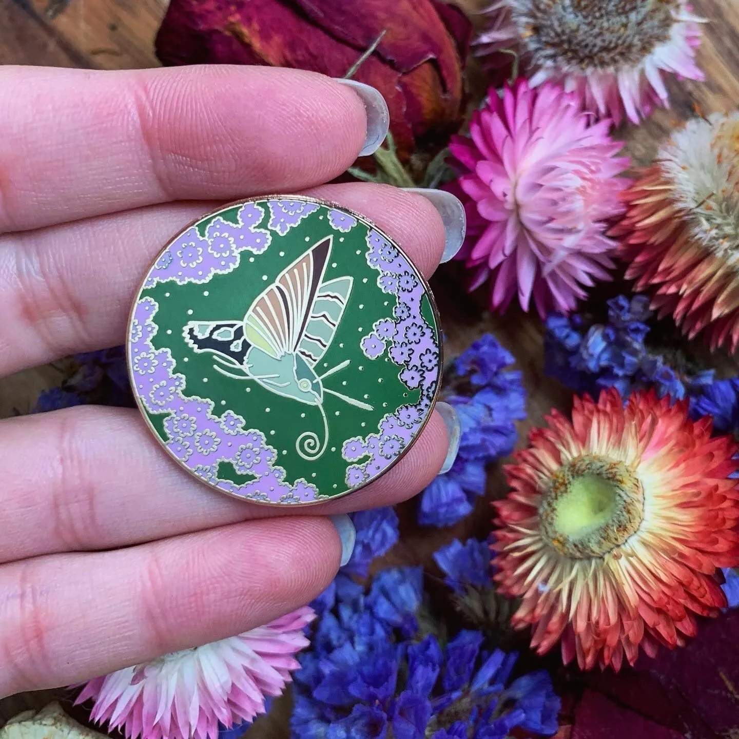 Hummingbird Hawk Moth Pin - 25% to Charity! - Macroglossum stellatarum - (***RETIRED***)
