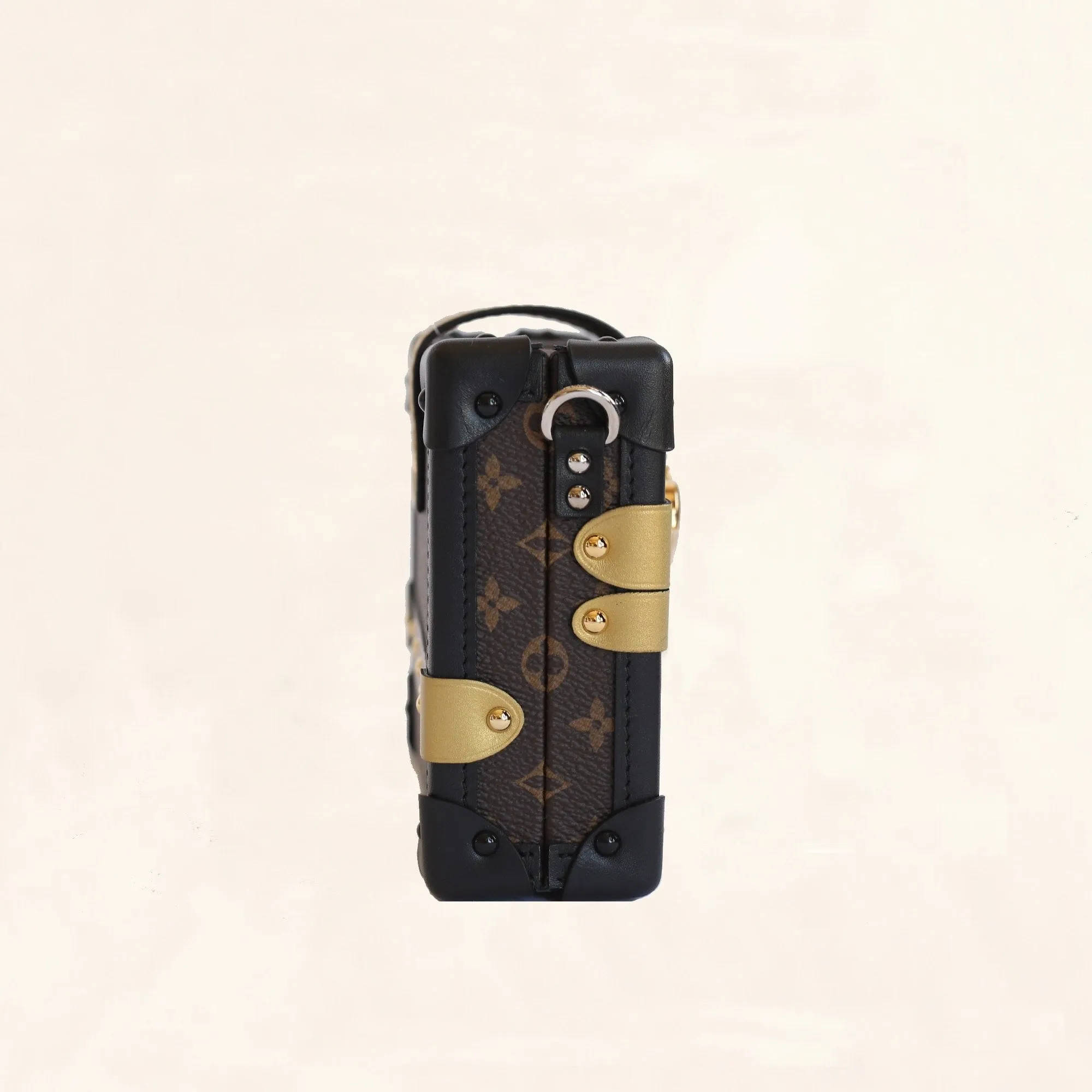 Louis Vuitton | Embellished Monogram Petite Malle