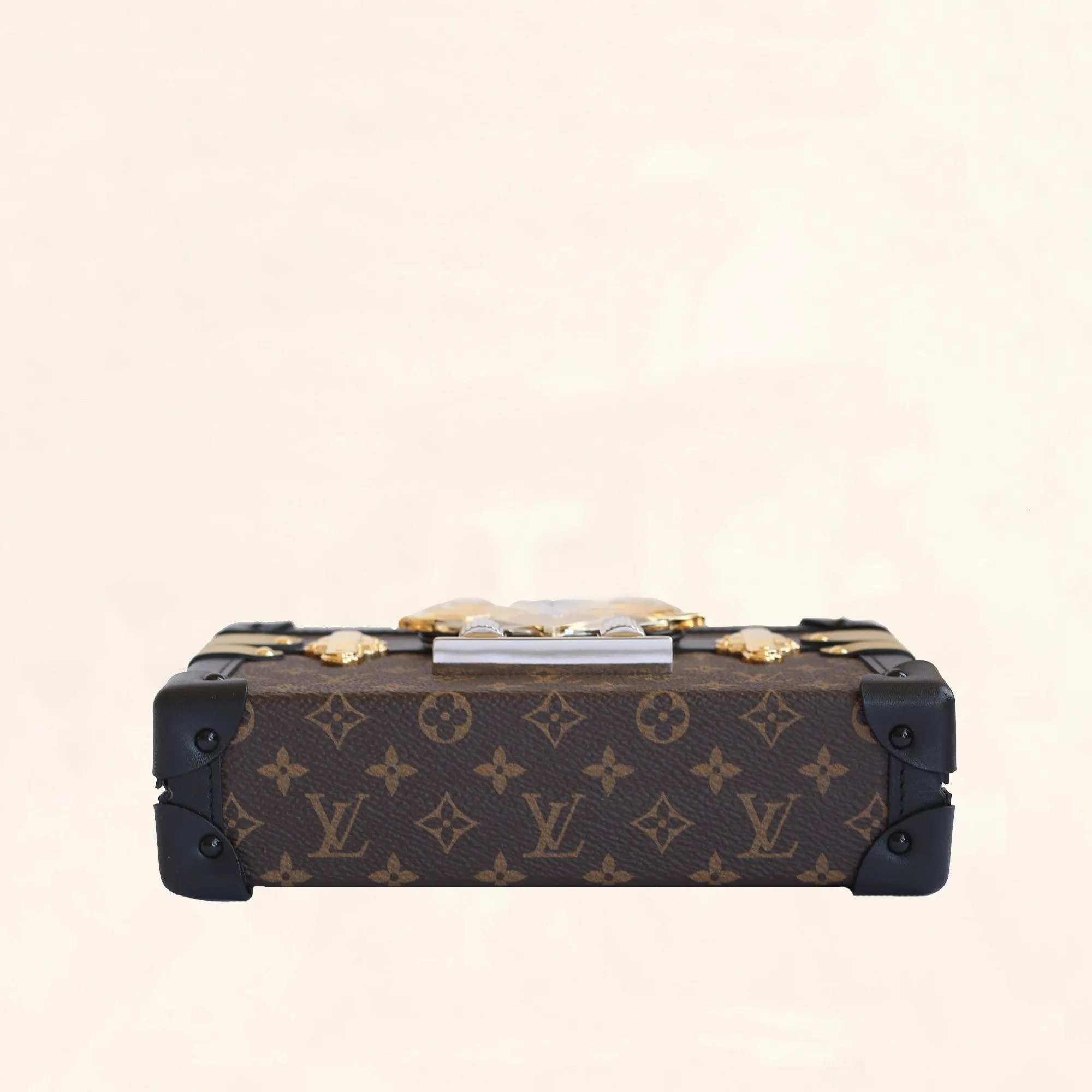 Louis Vuitton | Embellished Monogram Petite Malle