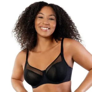 Shea Plunge Bra